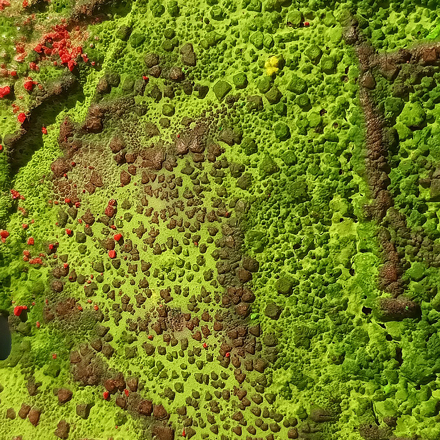 Paul Ramsay: Painting Catalogues imagery